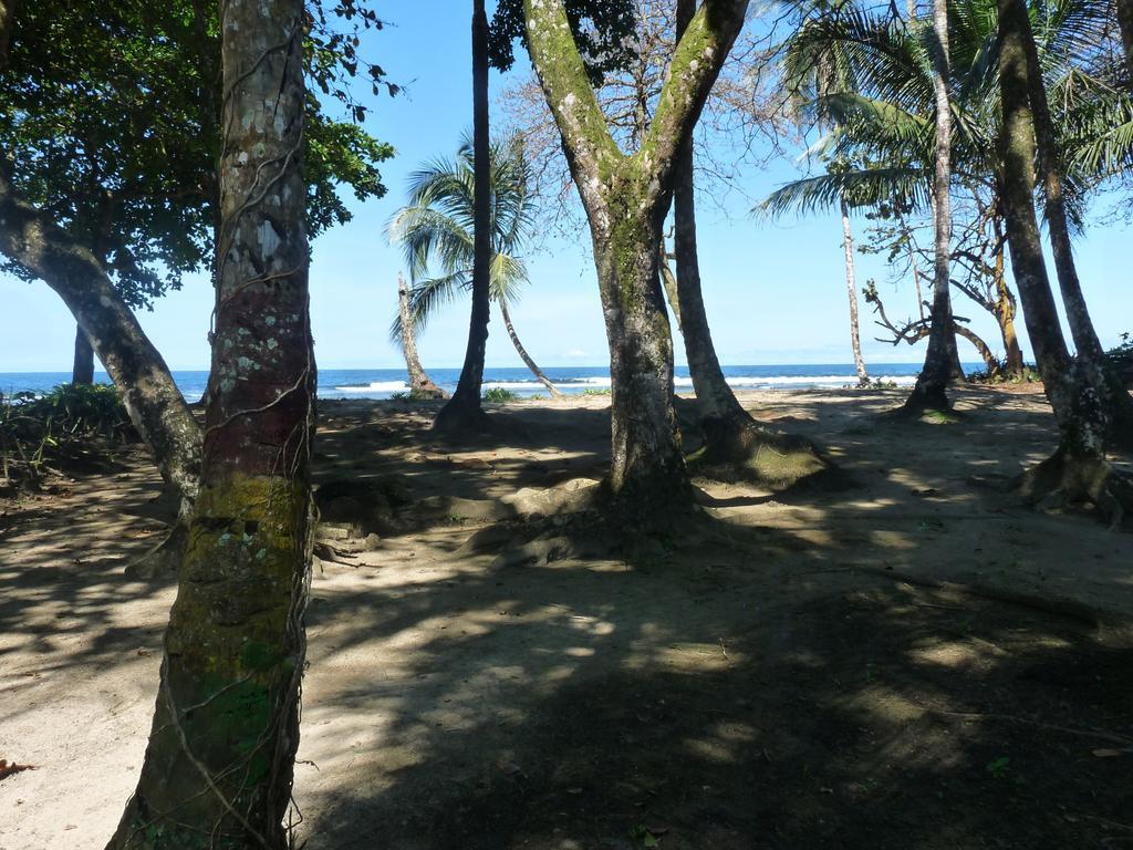 Cabinas Yucca Puerto Viejo de Talamanca Exterior foto