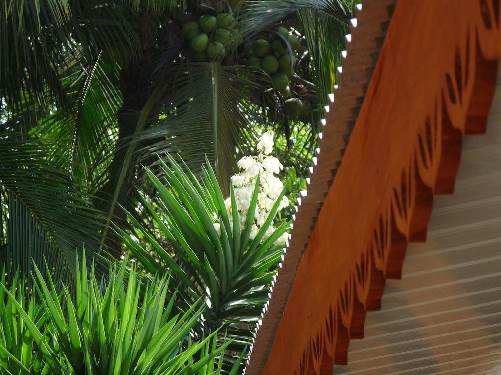 Cabinas Yucca Puerto Viejo de Talamanca Exterior foto