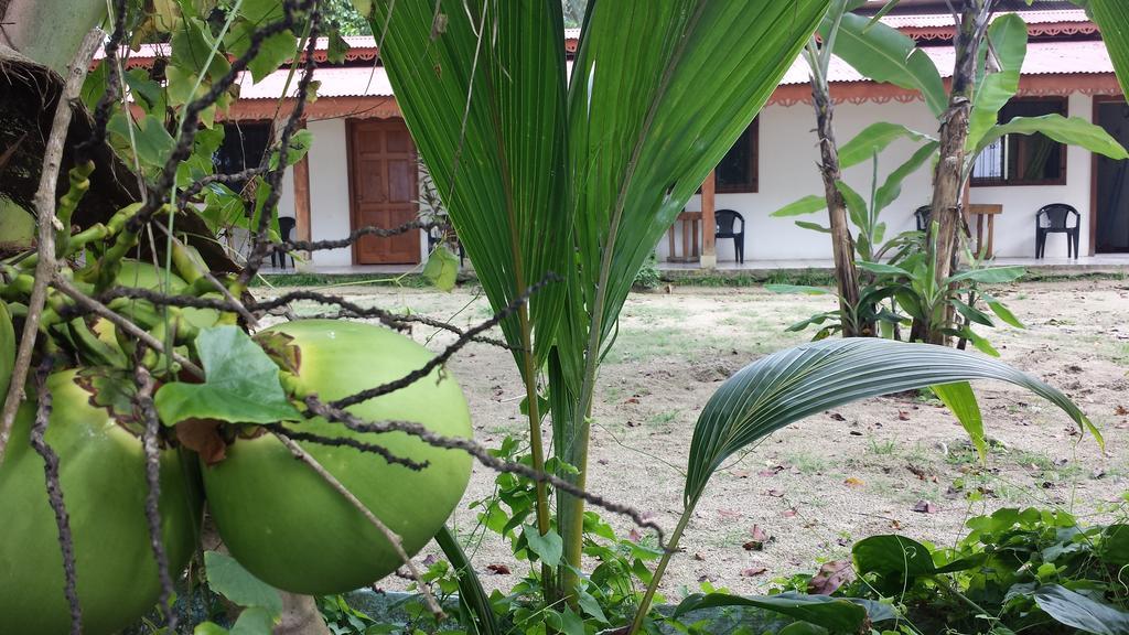 Cabinas Yucca Puerto Viejo de Talamanca Exterior foto