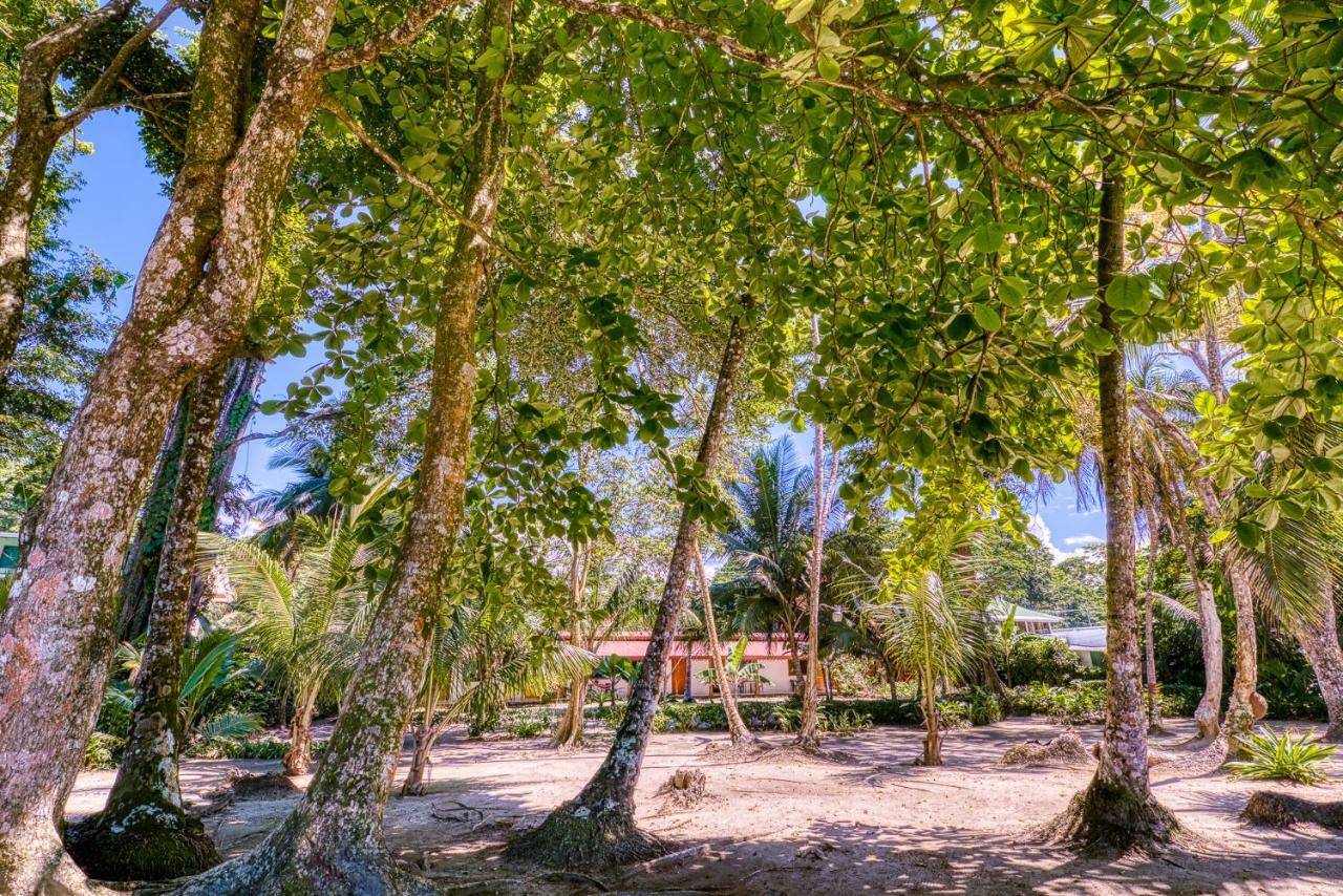 Cabinas Yucca Puerto Viejo de Talamanca Exterior foto